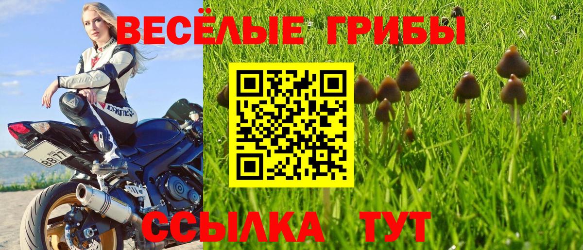 Псилоцибиновые грибы ЛСД  Галлюциногенные грибы мицелий  Курчалой  Вход с VPN 