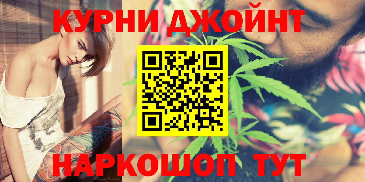 Конопля сатива Курчалой