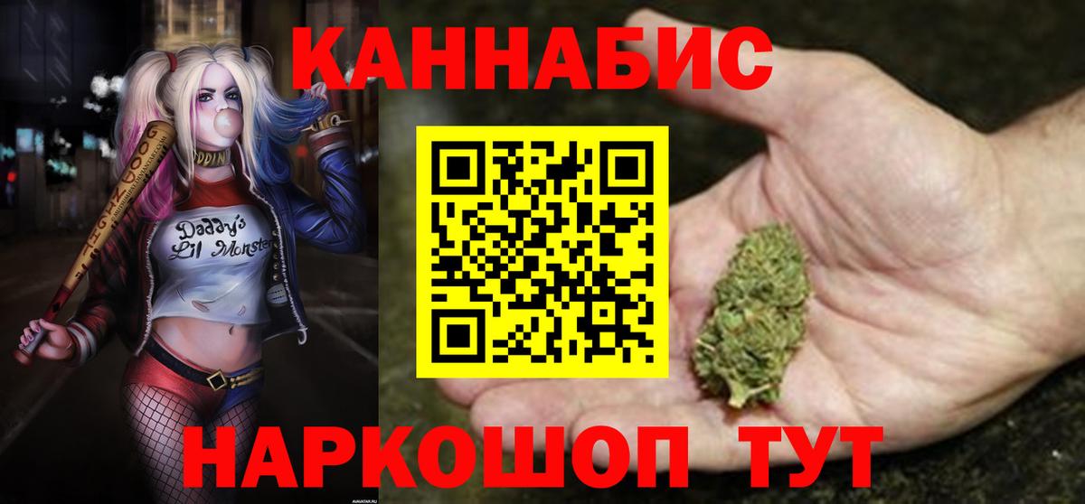 Курчалой  Конопля план  Бошки Шишки Ganja  МАРИХУАНА сатива  Вход с VPN 